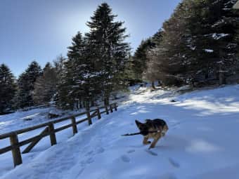 Monte Piz & Casera Ere hut 5