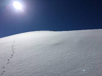 Mont Blanc du Tacul summit 6