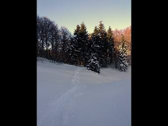Snowshoeing on Cansiglio 5