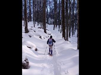 Snowshoeing on Cansiglio 7