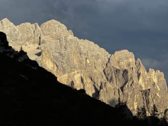 TransCivetta in tent 4