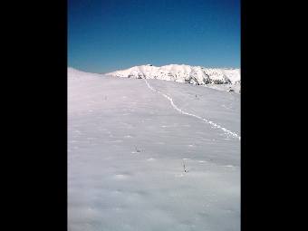 Winter on Monte Pizzoc 4