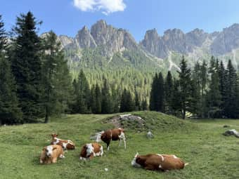 The “Muraglia di Giau” and the “Lastoi de Formin” 2