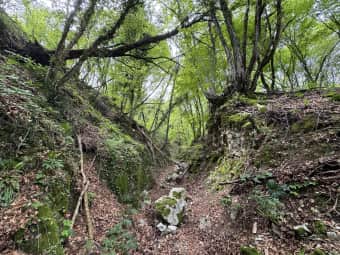 Pian delle Femene - Strada delle Musse 1