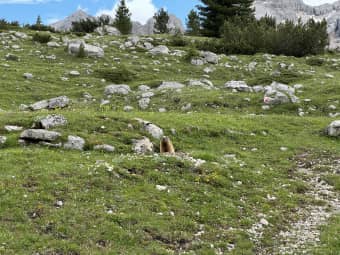 Hike from Capanna Alpina to Malga de Gran Fanes 6