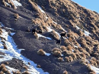 Cima Cavallazza e i laghi del Colbricon 4